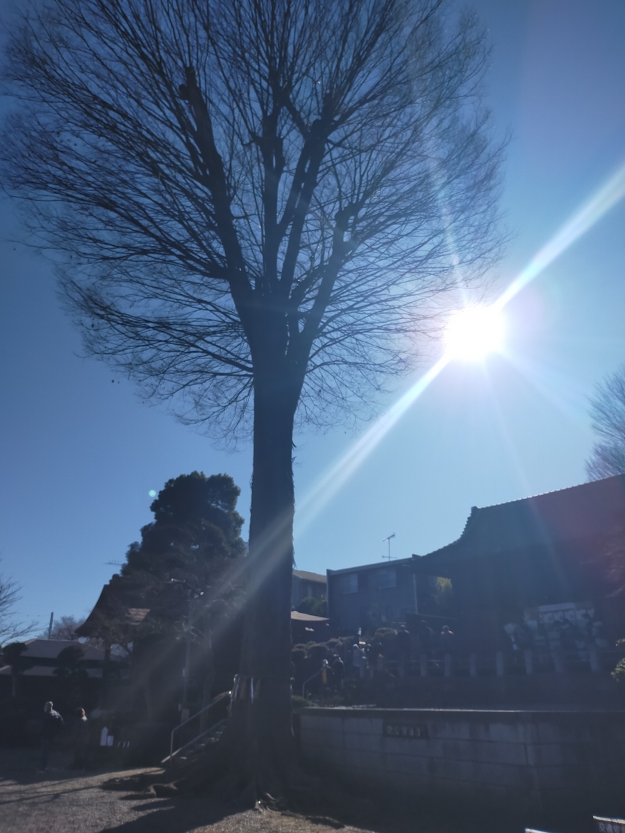 深谷市瀧宮神社