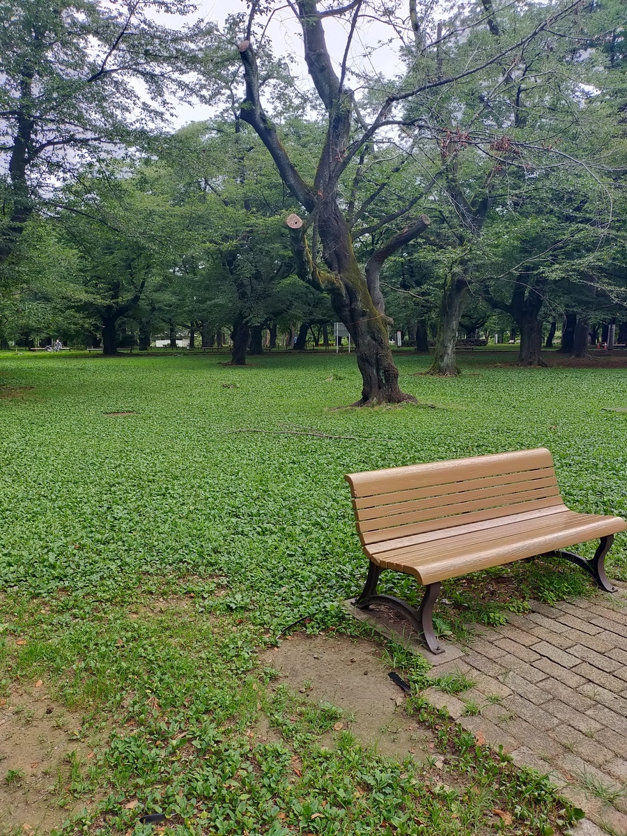 大宮公園