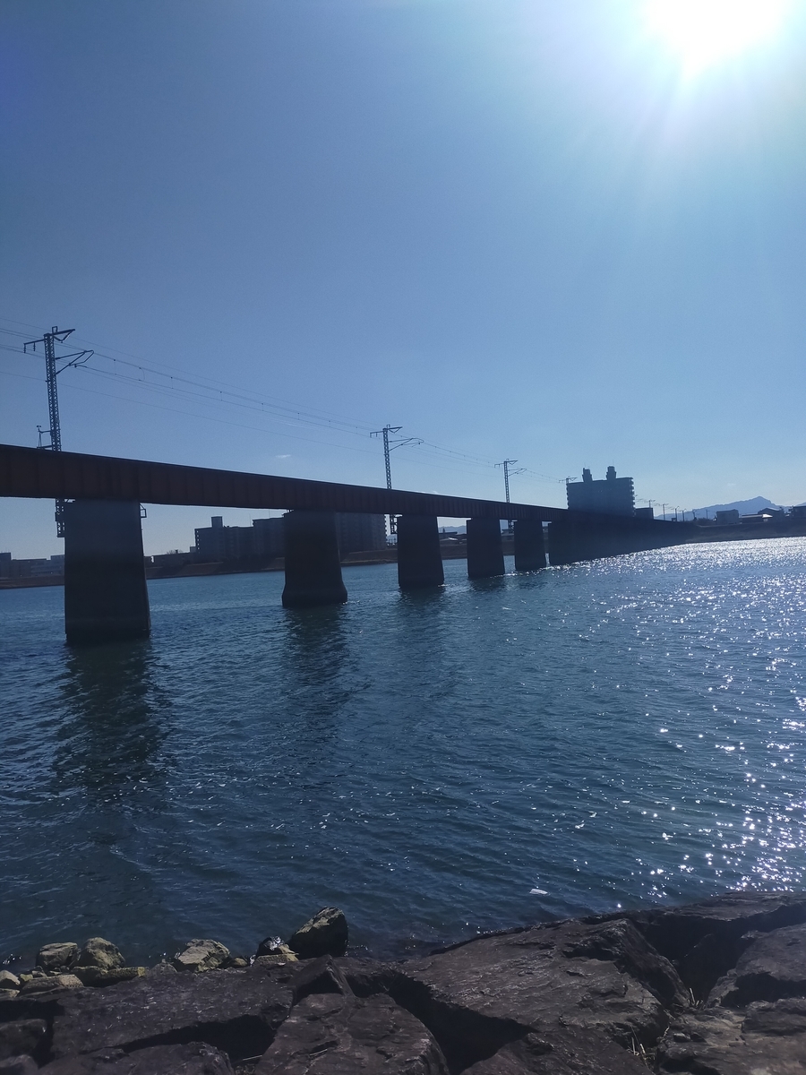 宮崎市の大淀川