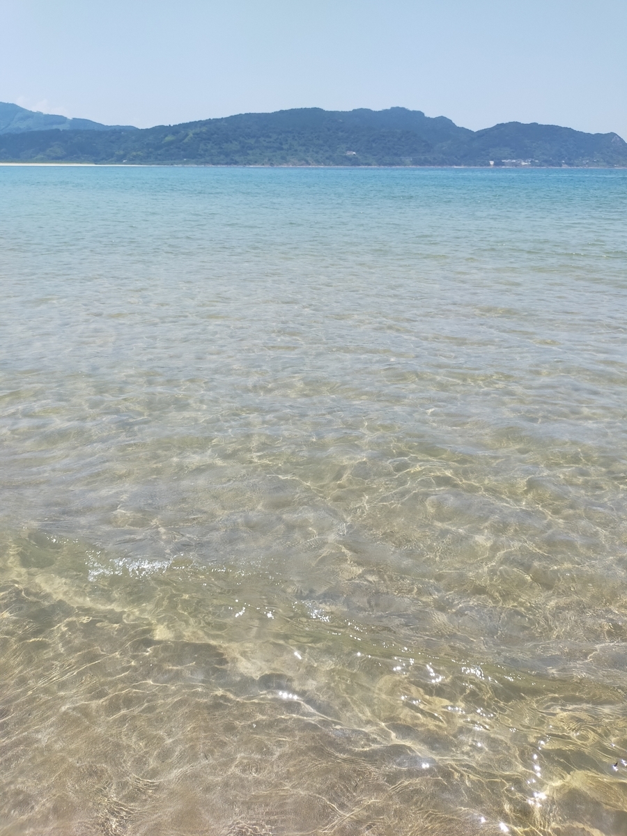 ちょろ　ブログ