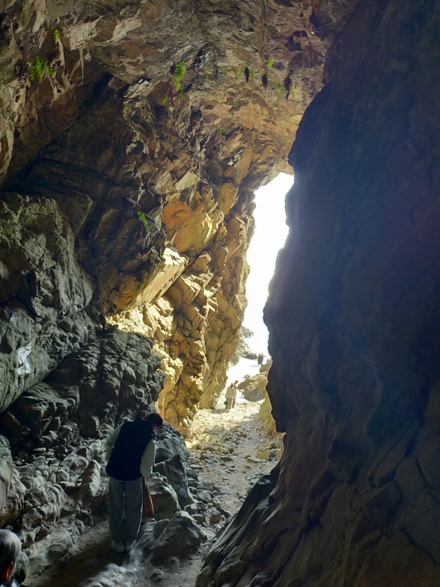 ちょろ　ブログ