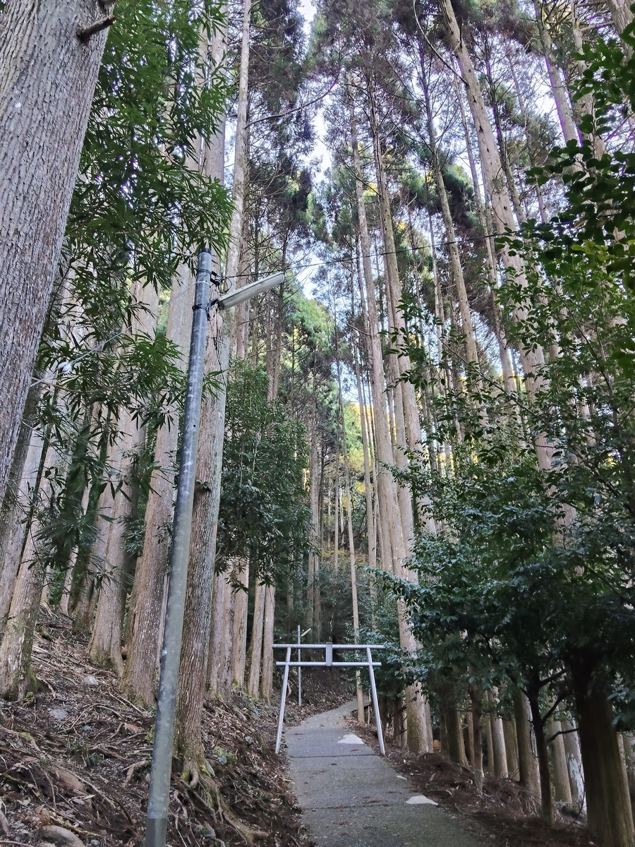 ちょろ　ブログ