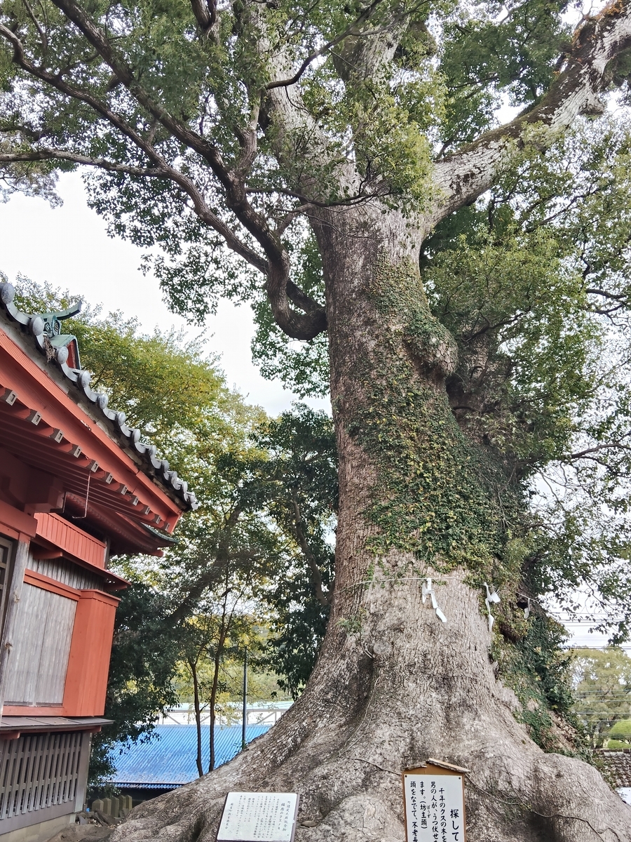 ちょろ　ブログ