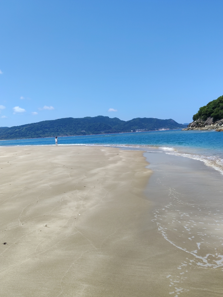 ちょろ ブログ