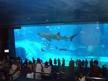 f:id:choro_master:20080509122505j:image