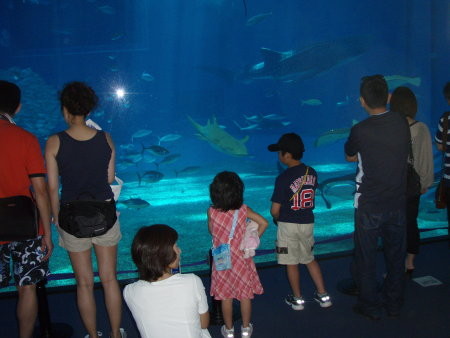 f:id:choro_master:20080509123624j:image