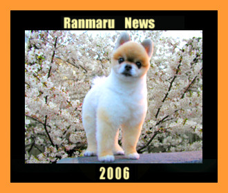 f:id:chorolyn:20060413175943j:image