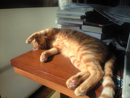 f:id:chorolyn:20081018093020j:image