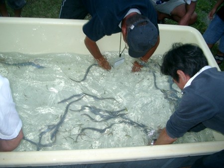f:id:choshimarina:20050827022813j:image