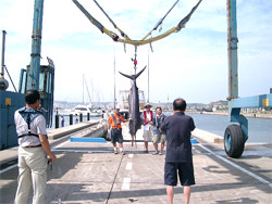 f:id:choshimarina:20050912113108j:image f:id:choshimarina:20050912113108j:image