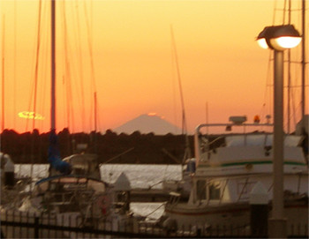 f:id:choshimarina:20051023171729j:image
