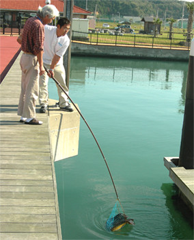 f:id:choshimarina:20051024102007j:image