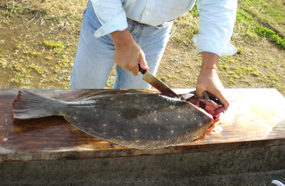 f:id:choshimarina:20061126183051j:image f:id:choshimarina:20061126183051j:image