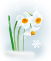 f:id:choshimarina:20061226122113j:image:medium