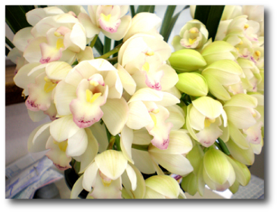 f:id:choshimarina:20070108133606j:image