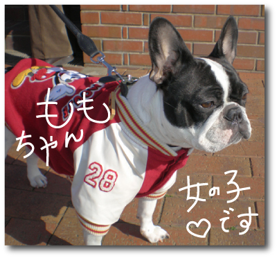 f:id:choshimarina:20070108134433j:image