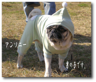 f:id:choshimarina:20070108134506j:image