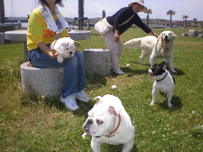 f:id:choshimarina:20070602152448j:image