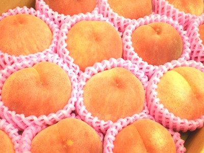 f:id:choshimarina:20070811102949j:image