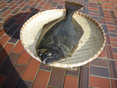 f:id:choshimarina:20090717164904j:image