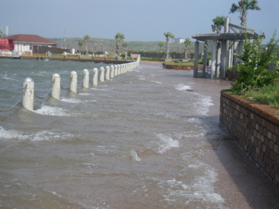 f:id:choshimarina:20091008084410j:image