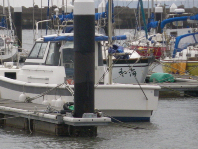 f:id:choshimarina:20100228160527j:image
