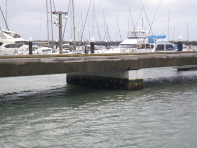 f:id:choshimarina:20100228160557j:image