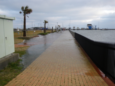 f:id:choshimarina:20100228164147j:image