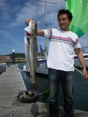 f:id:choshimarina:20100606135149j:image
