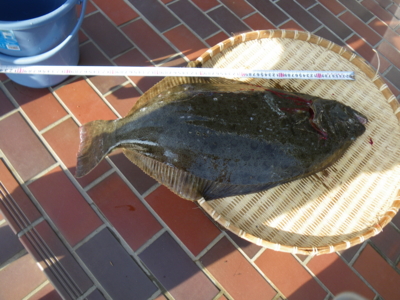 f:id:choshimarina:20100911154025j:image f:id:choshimarina:20100911154025j:image