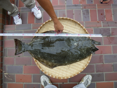 f:id:choshimarina:20100912125046j:image f:id:choshimarina:20100912125046j:image