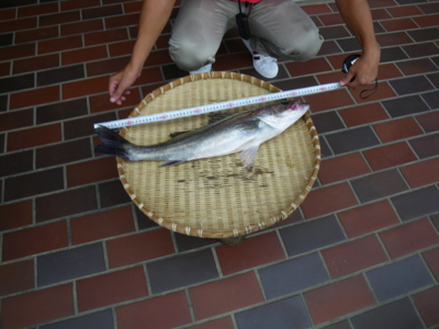 f:id:choshimarina:20100912155610j:image