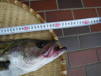 f:id:choshimarina:20100912155616j:image