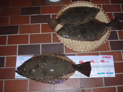 f:id:choshimarina:20101114164329j:image