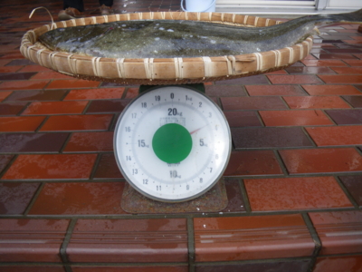 f:id:choshimarina:20101121152827j:image