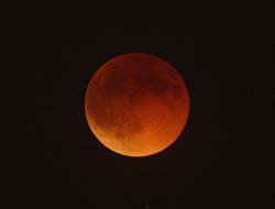 f:id:choshimarina:20101216091752j:image