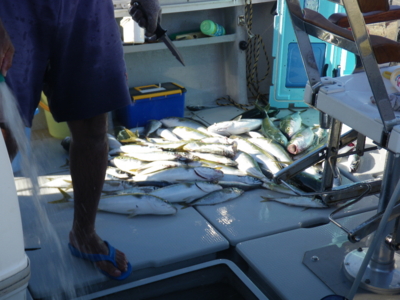 f:id:choshimarina:20120819162112j:image f:id:choshimarina:20120819162112j:image