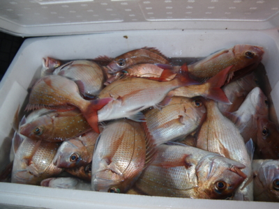 f:id:choshimarina:20121027142755j:image f:id:choshimarina:20121027142755j:image