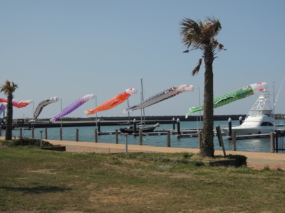 f:id:choshimarina:20130428092125j:image