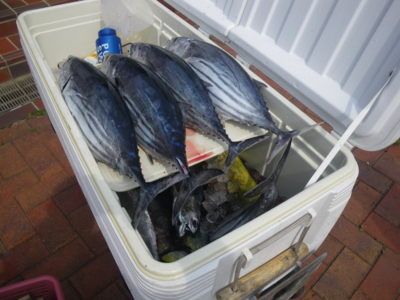 f:id:choshimarina:20130609144036j:image