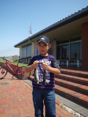 f:id:choshimarina:20130629101123j:image