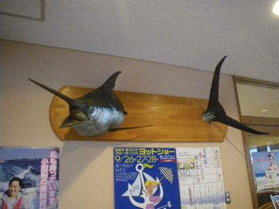 f:id:choshimarina:20140907110523j:image