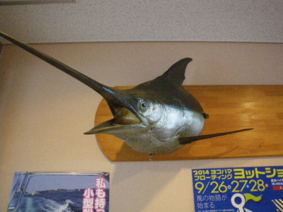 f:id:choshimarina:20140907110537j:image
