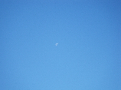 f:id:choshimarina:20141114094055j:image f:id:choshimarina:20141114094055j:image