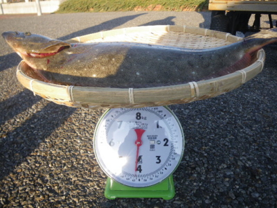 f:id:choshimarina:20150111153531j:image
