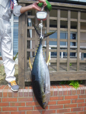 f:id:choshimarina:20150503135631j:image