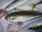 20150830150342