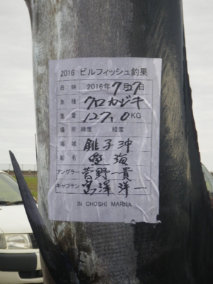 f:id:choshimarina:20160727164313j:image