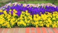 20170428105440