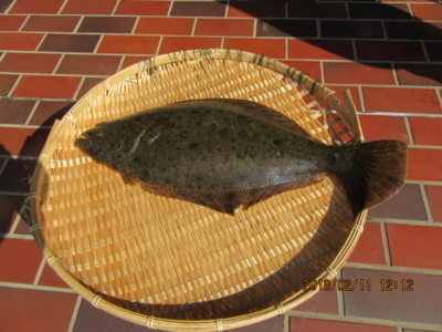 f:id:choshimarina:20180211121233j:image:w360